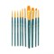 RSET-9155 | 11pc Golden Taklon Variety Brush Set with Brush Pouch